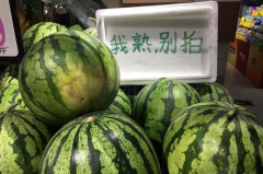 今日看料每日一瓜,今日一瓜，带你领略明星幕后故事